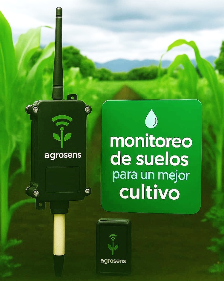 Tableta mostrando datos agrícolas en un campo verde